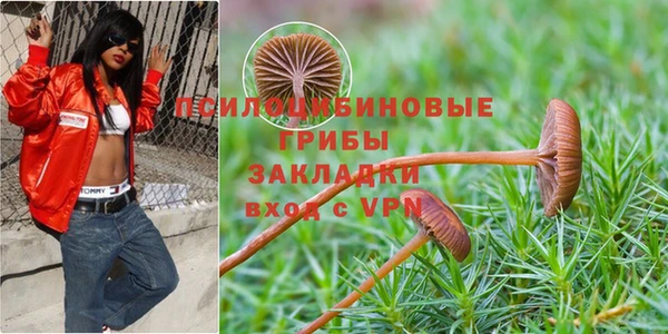 амф Надым