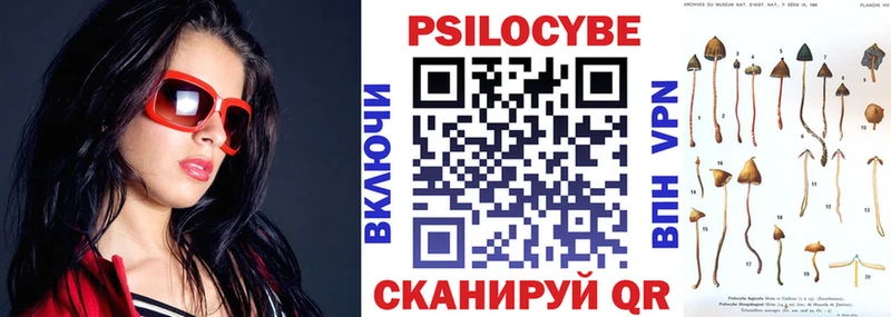 Псилоцибиновые грибы GOLDEN TEACHER  Североморск 
