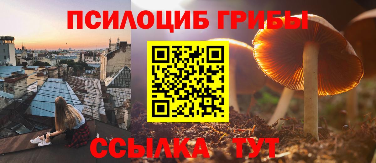 Североморск  Псилоцибиновые грибы мицелий  Вход с VPN 